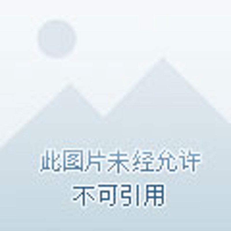 丹东货运：架起区域经济发展的桥梁
